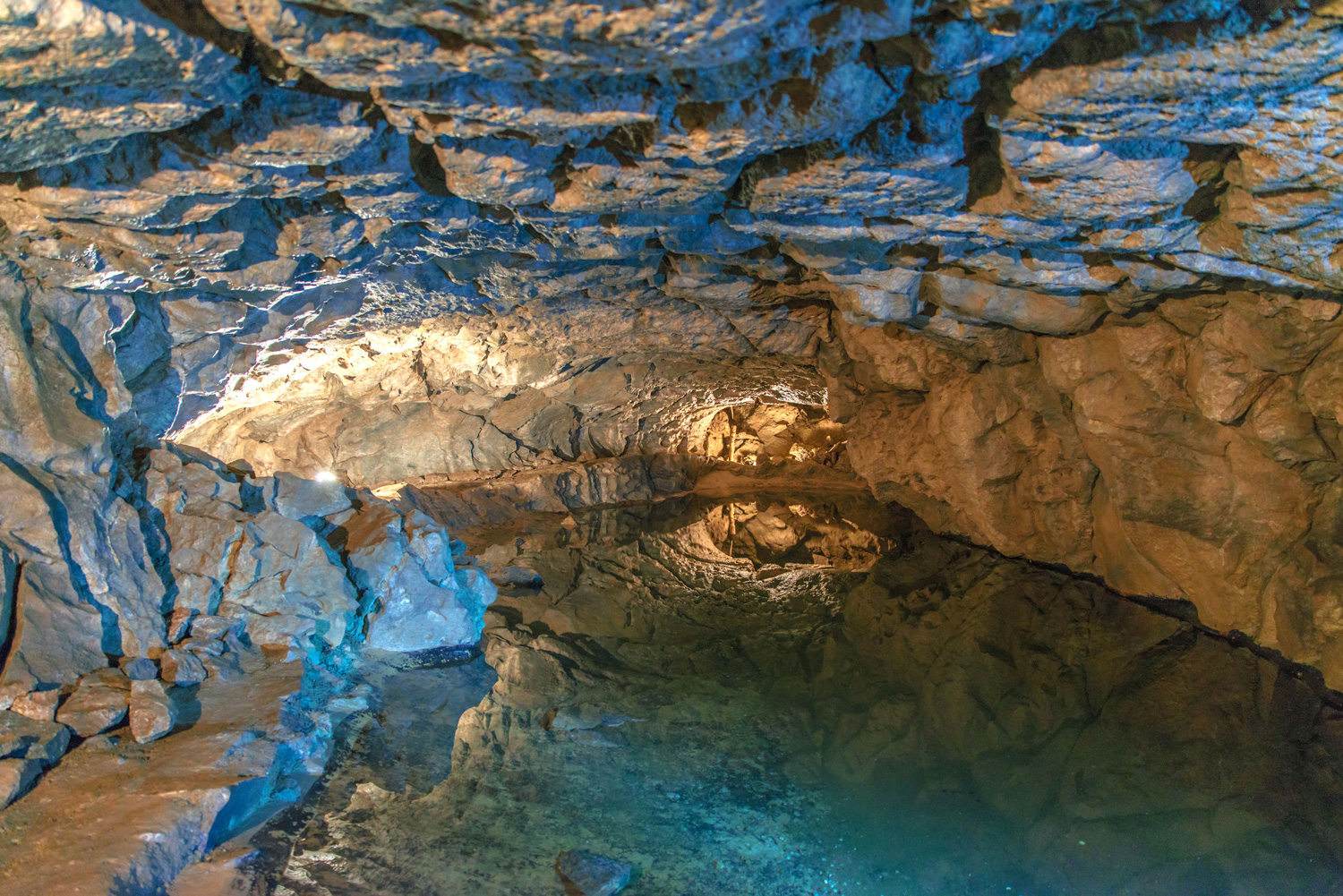 [Translate to Englisch:] Deutschlands einzige Grottenolme leben im Olmensee der Hermannshöhle, mitten im Harz.